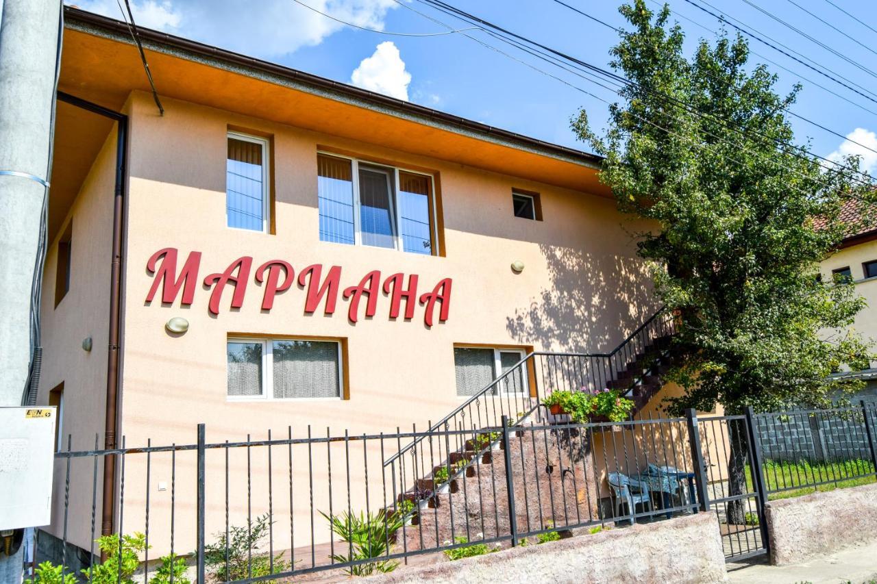 Mariana Apartment Pavel Banja Kültér fotó
