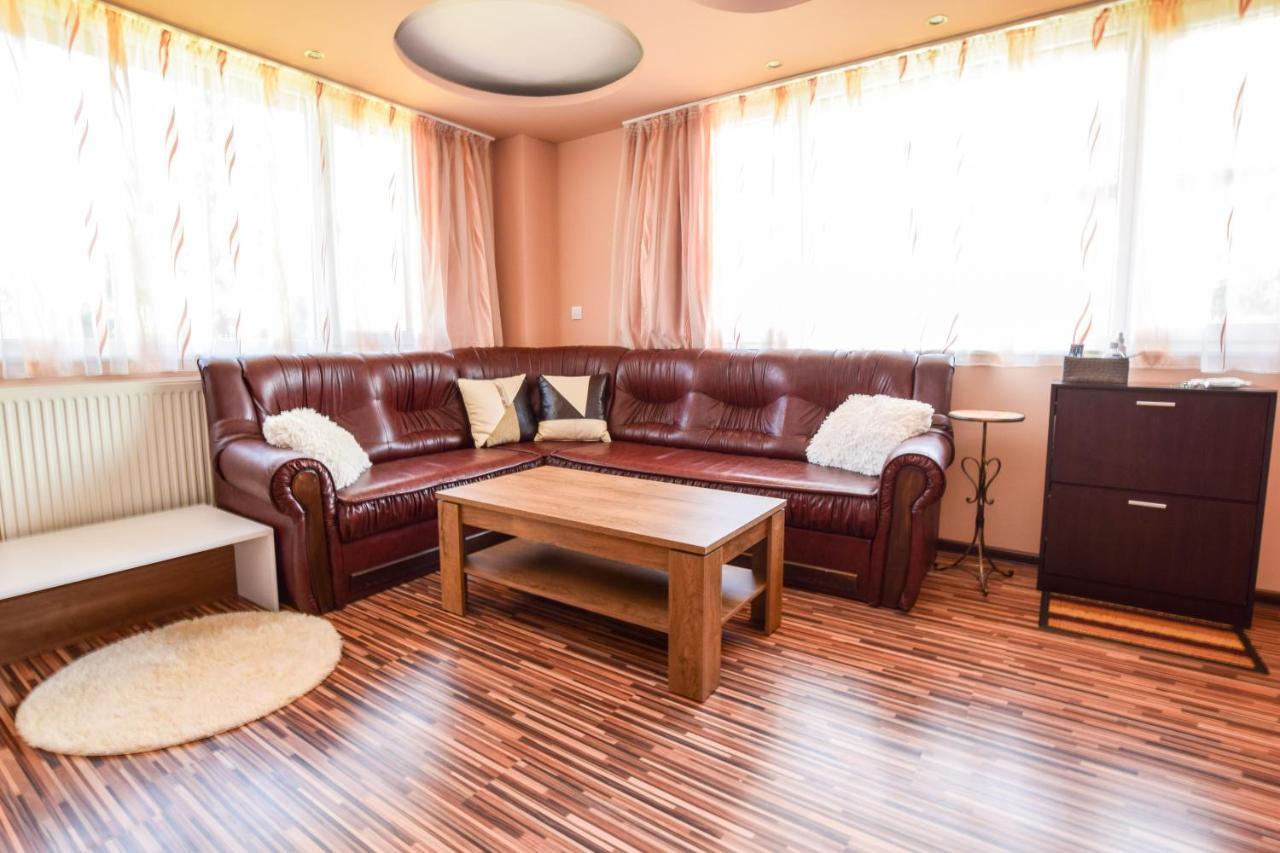 Mariana Apartment Pavel Banja Kültér fotó