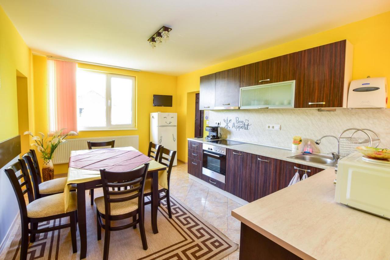 Mariana Apartment Pavel Banja Kültér fotó