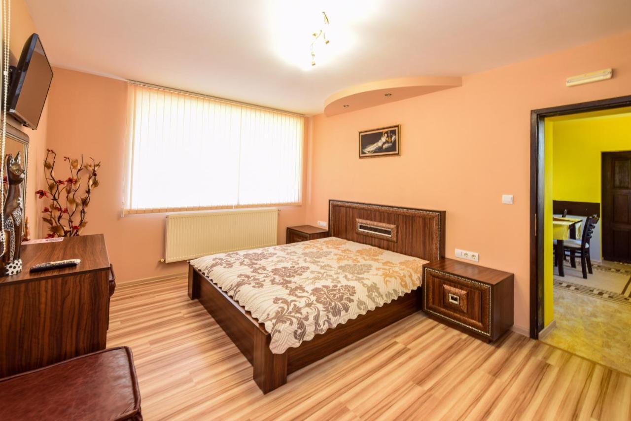 Mariana Apartment Pavel Banja Kültér fotó
