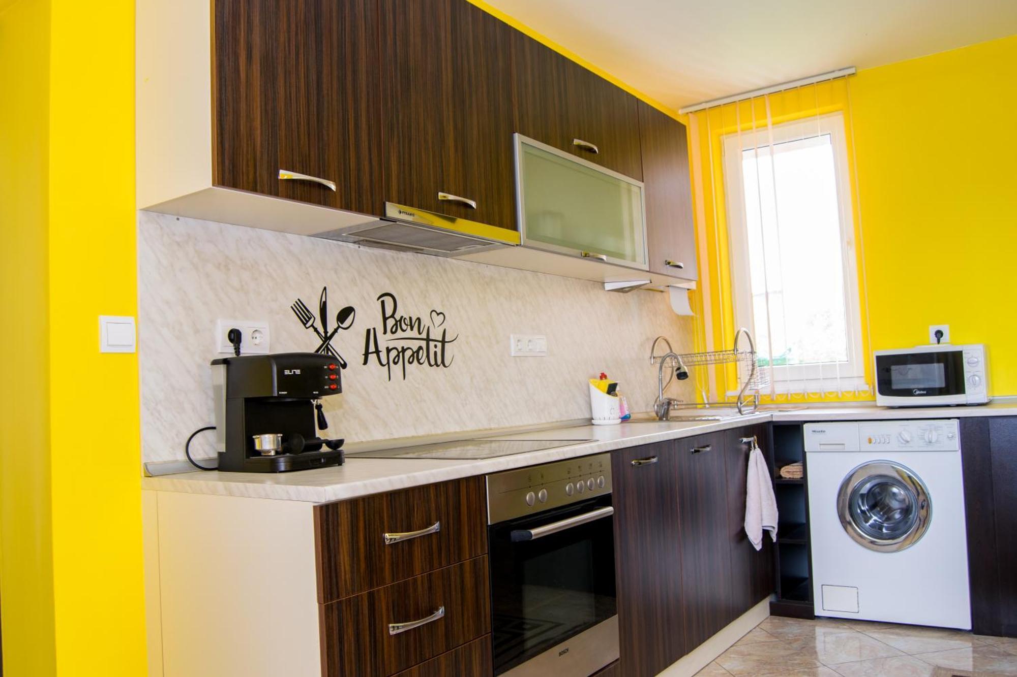Mariana Apartment Pavel Banja Kültér fotó