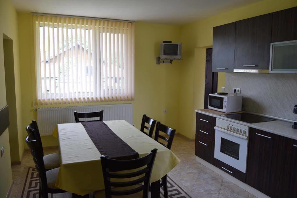 Mariana Apartment Pavel Banja Kültér fotó